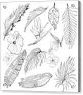 163x186 Hand Drawn Vector Tropical Set Banana And Palm Leaves - Tropical Leaves Drawing