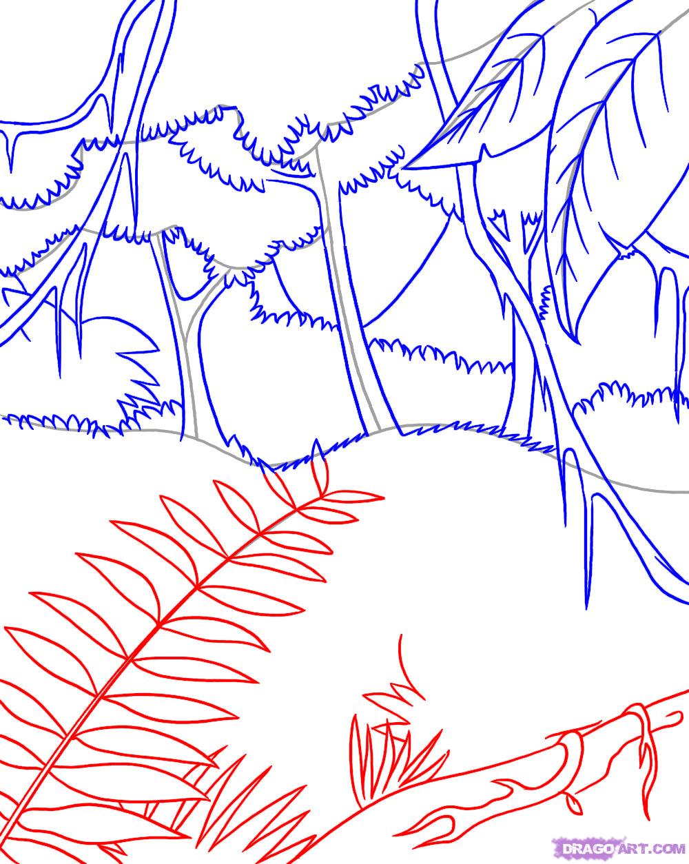 Tropical Rainforest Drawing at Explore collection