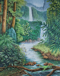 Tropical Rainforest Biome Drawing Ideas