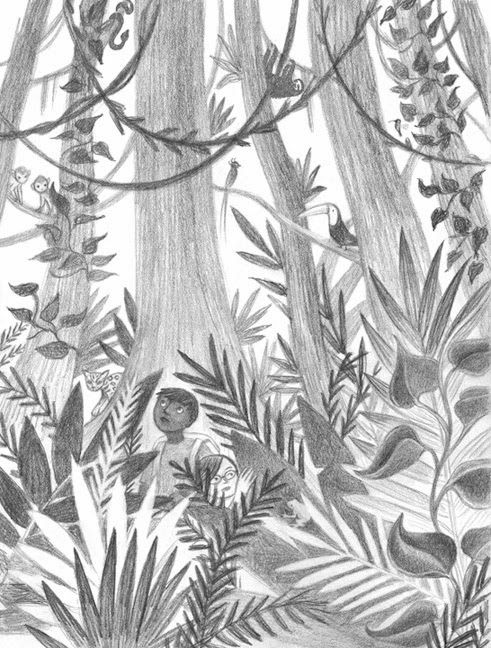 491x648 tropical rainforest animals drawing rainforest drawing drawing - Tropical Rainforest Drawing