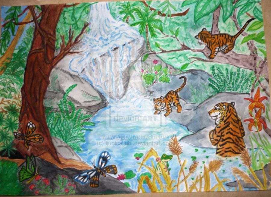 900x654 tropical rainforest animals drawing tropical rainforest painting - Tropical Rainforest Drawing