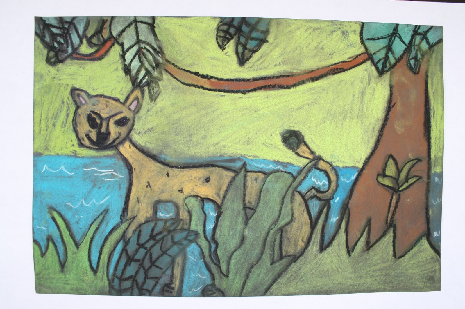 1600x1066 Tropical Rainforest Animals Drawings - Tropical Rainforest Drawing