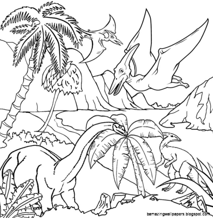 828x846 Tropical Rainforest Drawing With Color Amazing Wallpapers - Tropical Rainforest Drawing
