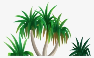 300x186 Trees Png,  Transparent Trees Png Image Free Download - Tropical Tree Drawing