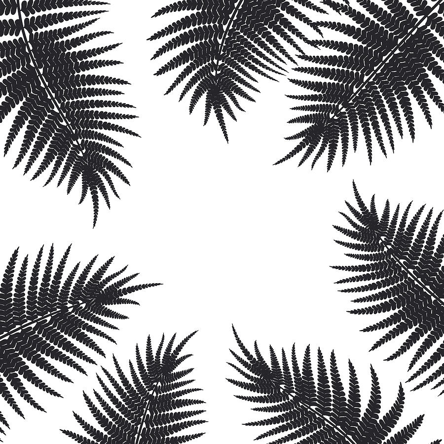 900x900 Tropical Fern Leaves Silhouette Frame Background Drawing - Tropical Tree Drawing