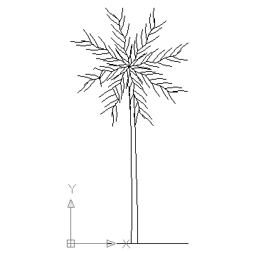 360x360 Autocad Drawing Palm Tree Tropical Tree Dwg - Tropical Tree Drawing