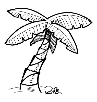 380x400 Tropical Palm Tree Sketch Vector Image On Katie Beth Palm Tree - Tropical Tree Drawing