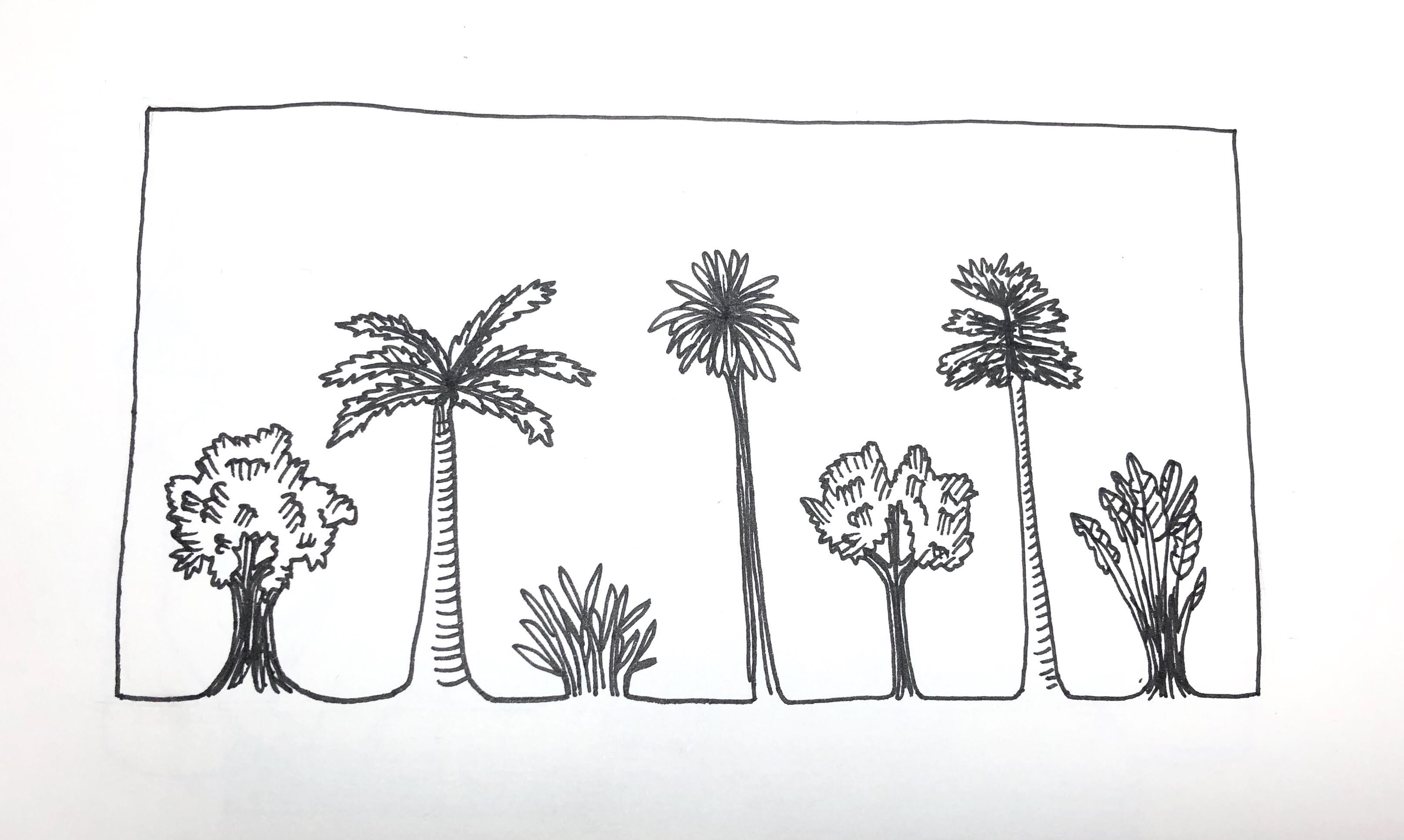 3229x1933 Tropical Tree Study Uses Satellite Technology - Tropical Tree Drawing