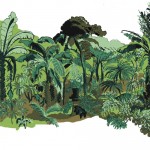 150x150 Works On Paper - Tropical Tree Drawing