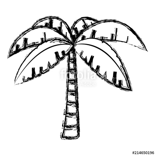 500x500 Grunge Exotic Palm With Tropical Tree Leaves Stock Image - Tropical Tree Drawing