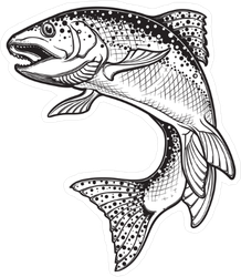 218x250 intricate rainbow trout drawing sticker - Trout Drawing