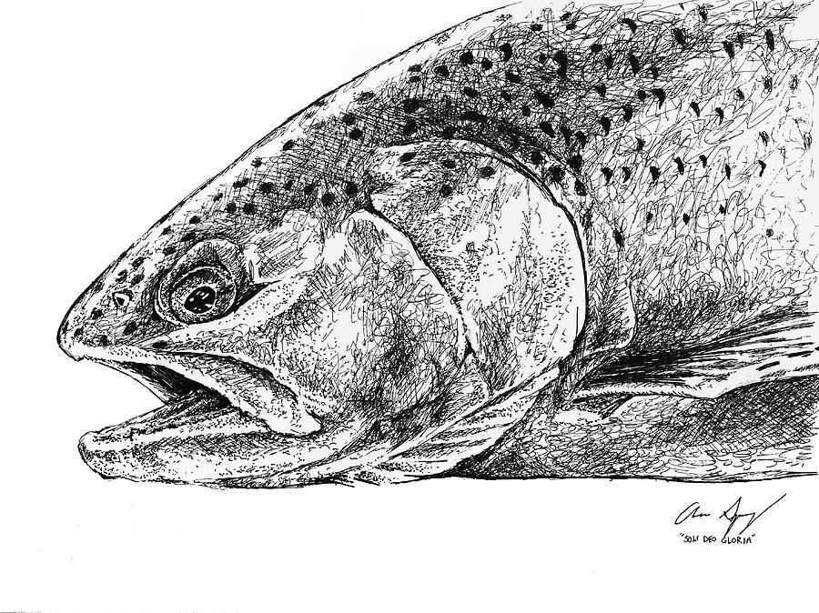900x674 Sketch - Trout Drawing