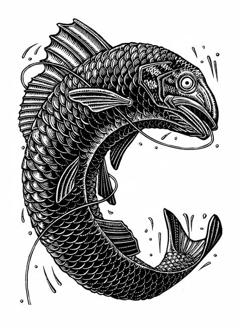 475x650 Black And White Jumping Trout - Trout Drawing Black And White