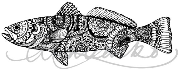 570x222 limited edition black and white speckled sea trout print - Trout Drawing Black And White