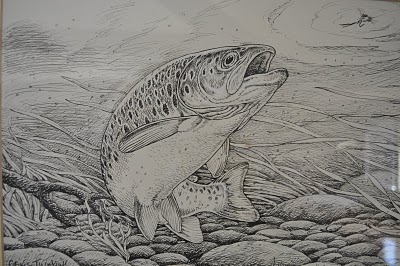 Trout Drawing Black And White at PaintingValley.com | Explore ...