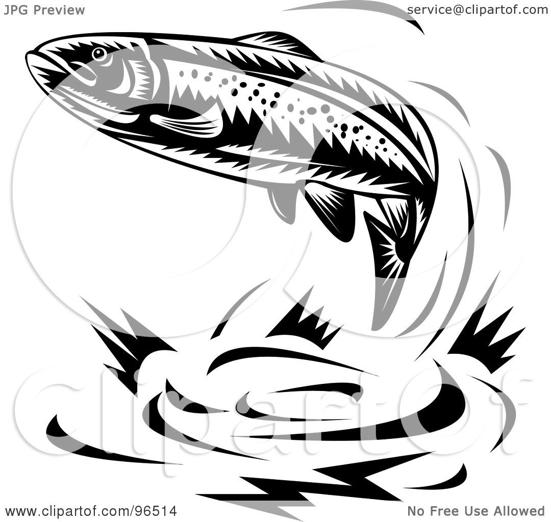 1080x1024 Royalty Free - Trout Drawing Black And White