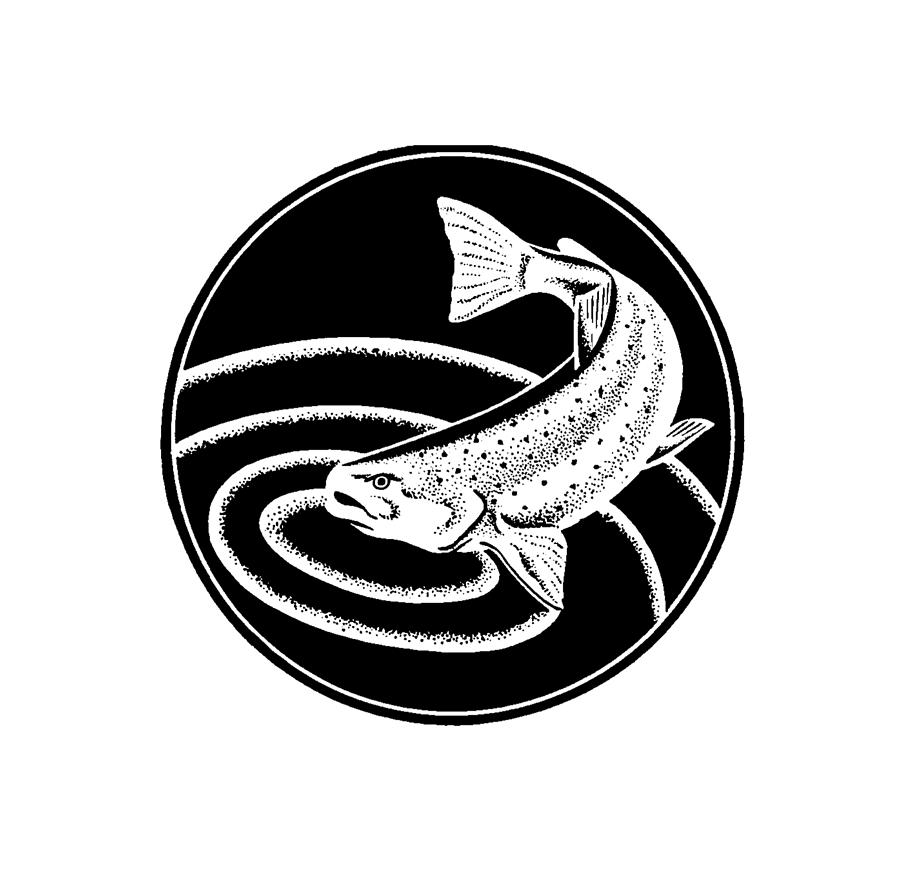 900x871 Trout - Trout Drawing Black And White