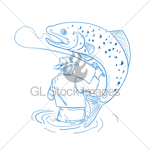 500x500 Fly Fisherman Trout Fishing Drawing Gl Stock Images - Trout Fish Drawing