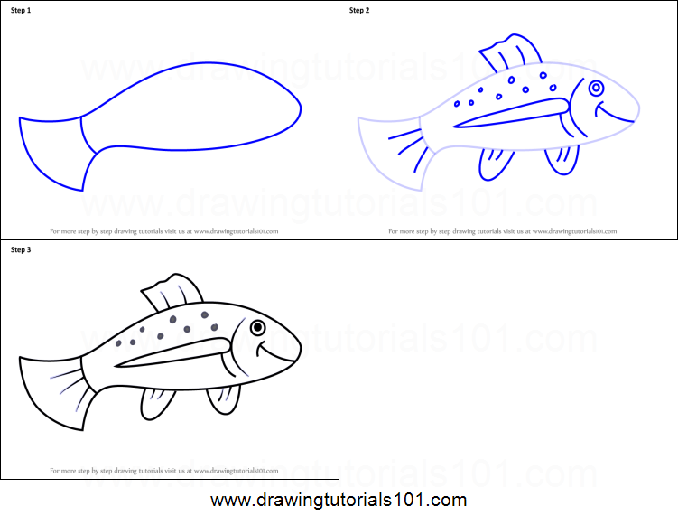 751x581 How To Draw A Trout Fish For Kids Printable Step - Trout Fish Drawing