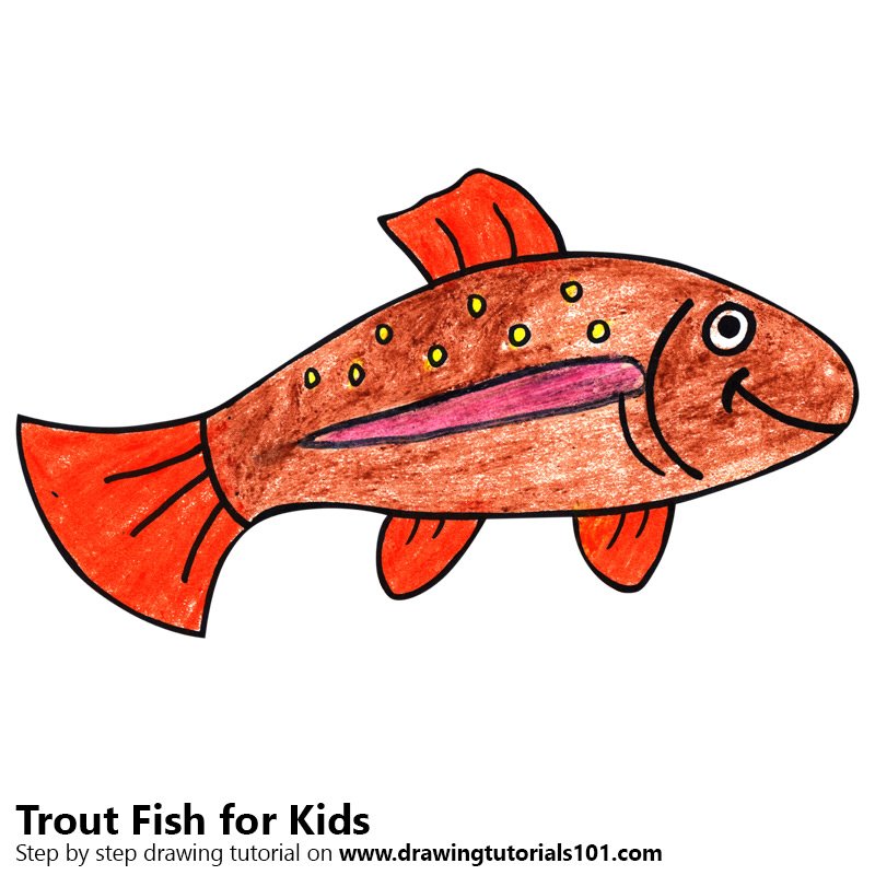 800x800 Learn How To Draw A Trout Fish For Kids - Trout Fish Drawing