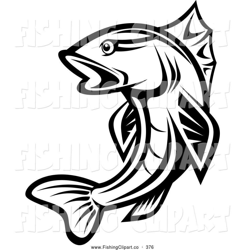 1024x1044 Best Free Trout Fish Drawing - Trout Fish Drawing