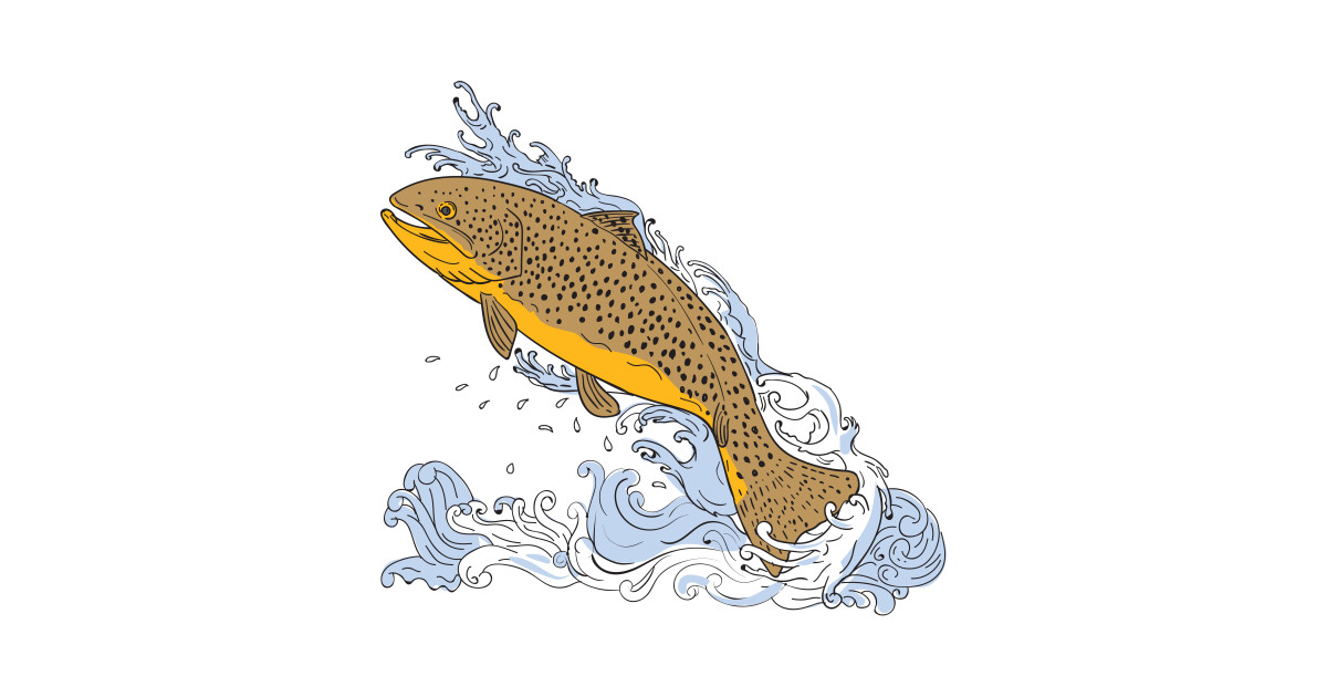 Trout Fish Drawing at PaintingValley.com | Explore collection of Trout ...