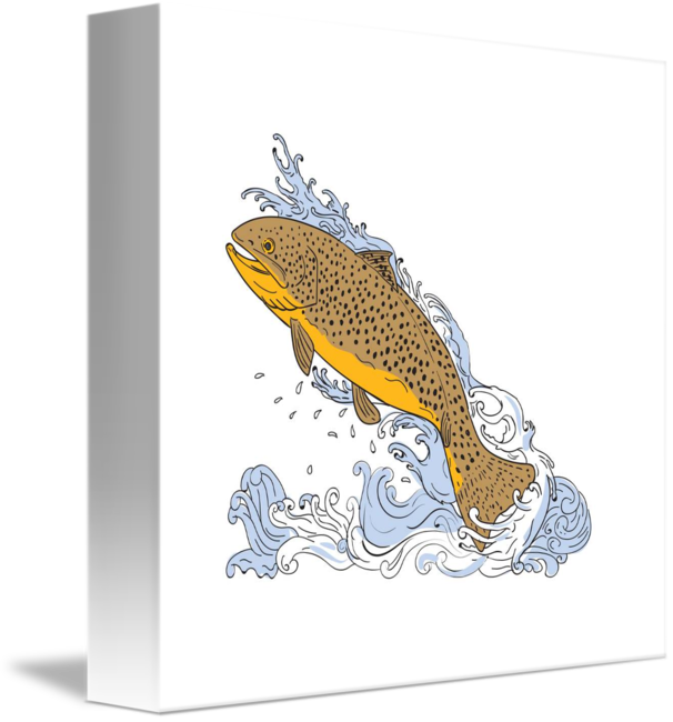 606x650 Brown Trout Swimming Up Turbulent Water Drawing - Trout Fish Drawing