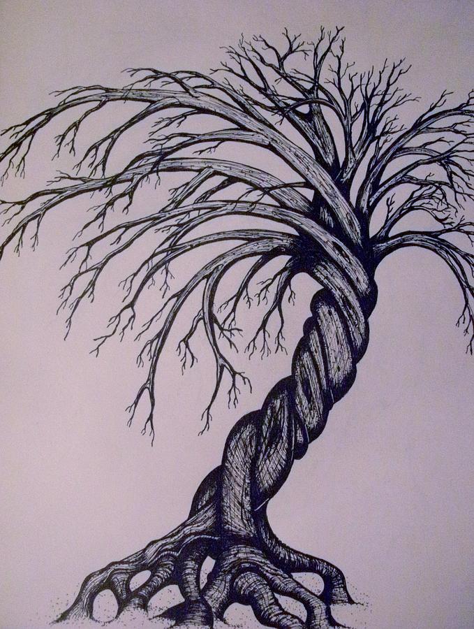 679x900 twisted drawing - Troy Drawing