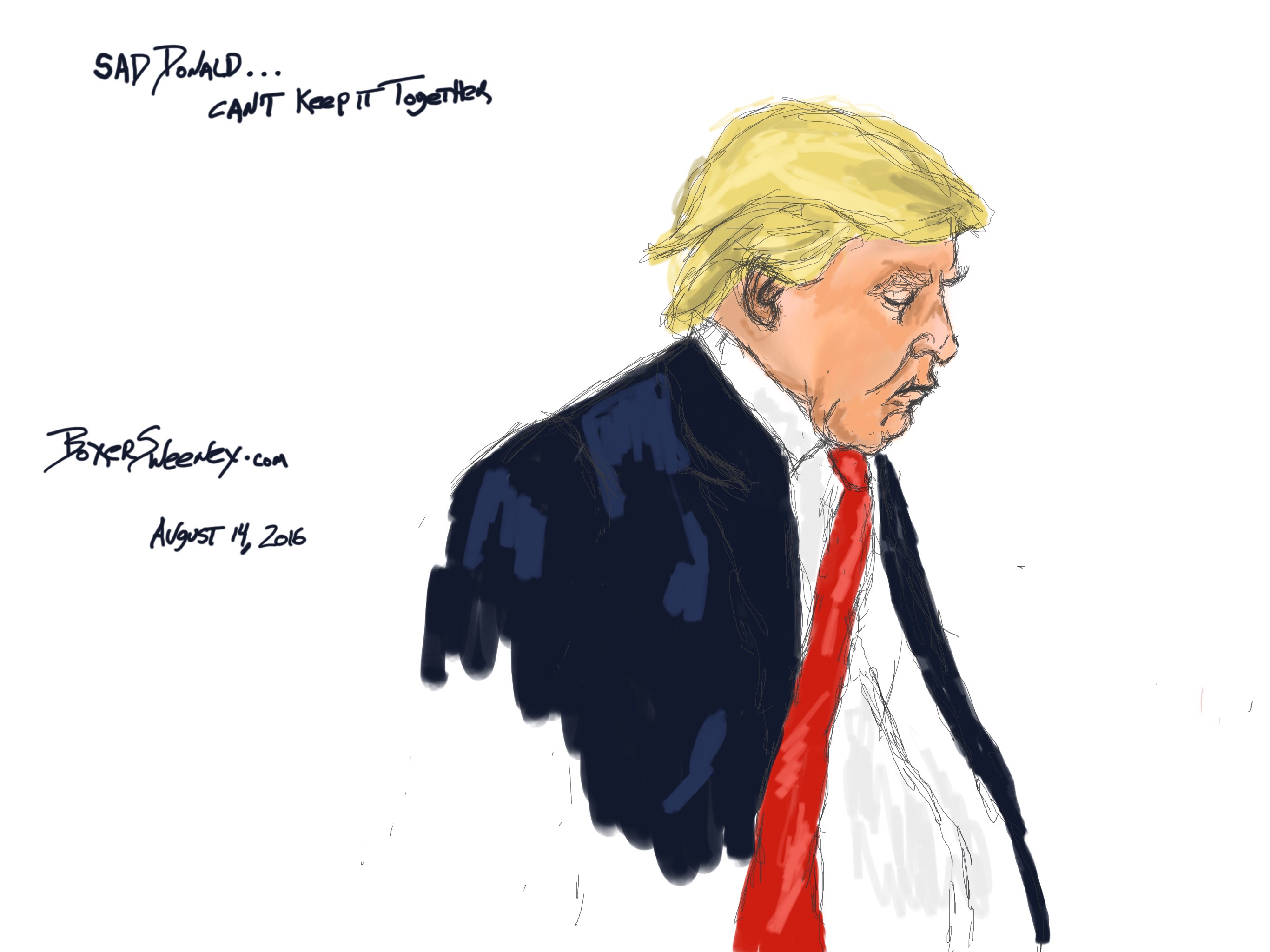 2732x2048 sad keep it together boxer sweeney - Trump Drawing