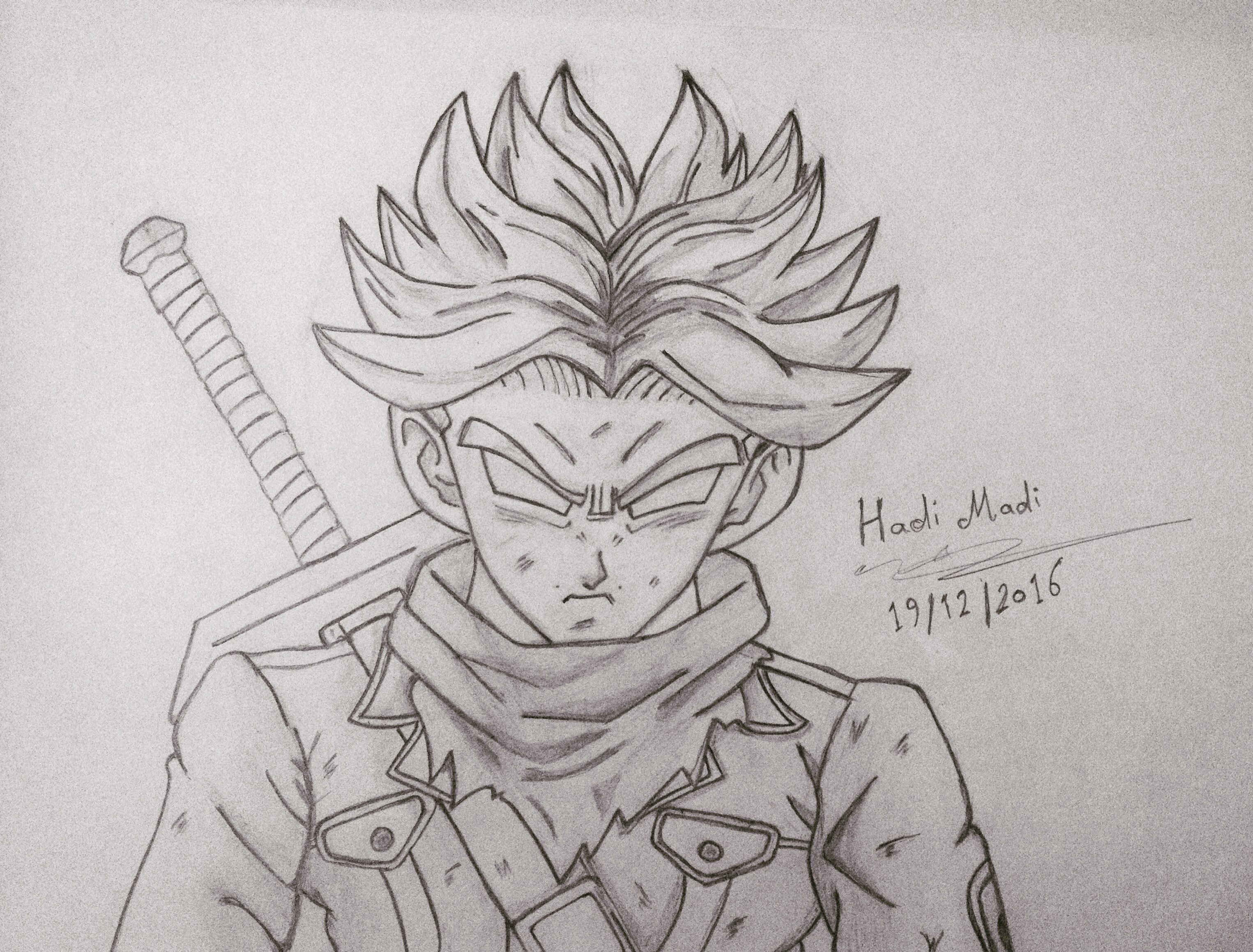  Trunks  Drawing at PaintingValley com Explore collection 