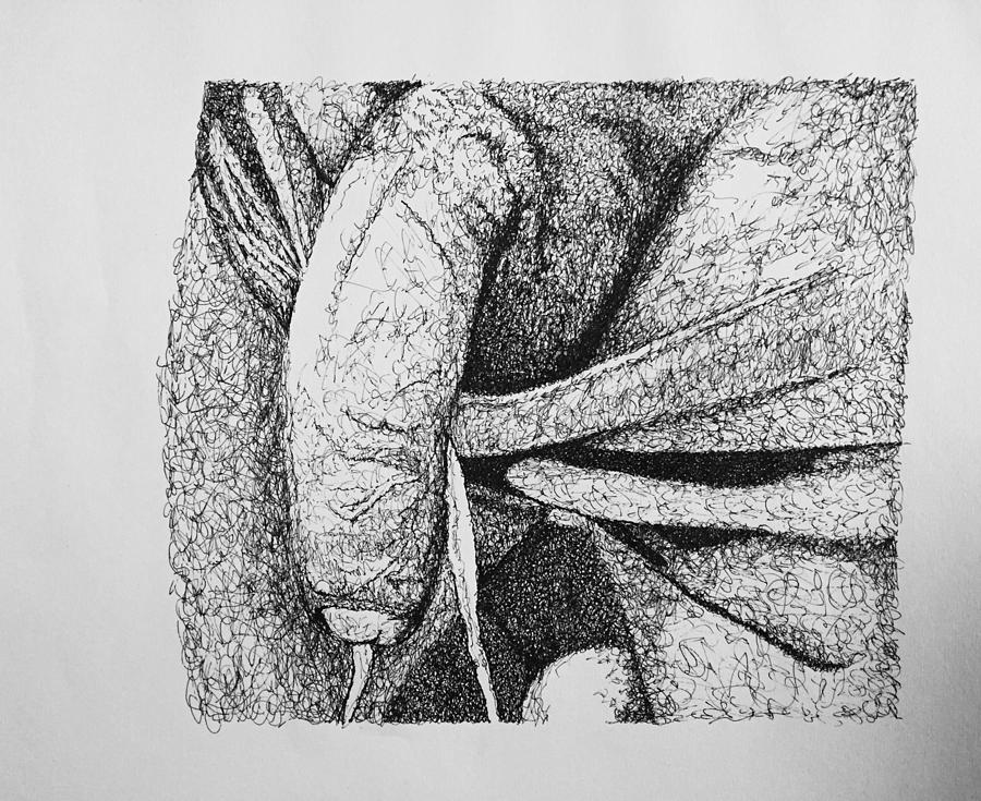 900x735 Trunks Drawing - Trunks Drawing