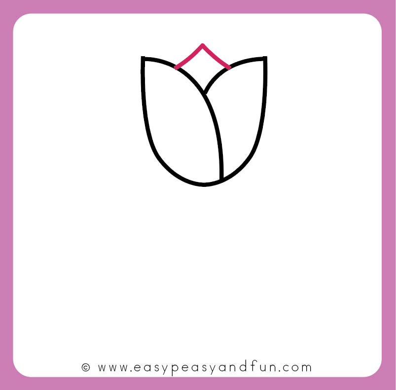 803x791 How To Draw A Tulip For Kids - Tulip Drawing Step By Step