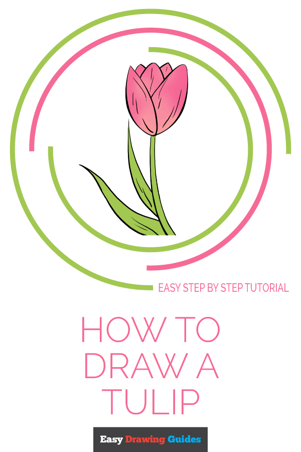 600x900 How To Draw A Tulip Really Easy Drawing Tutorial - Tulip Drawing Step By Step