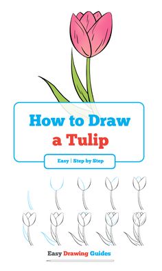 236x393 How To Draw A Tulip Step - Tulip Drawing Step By Step