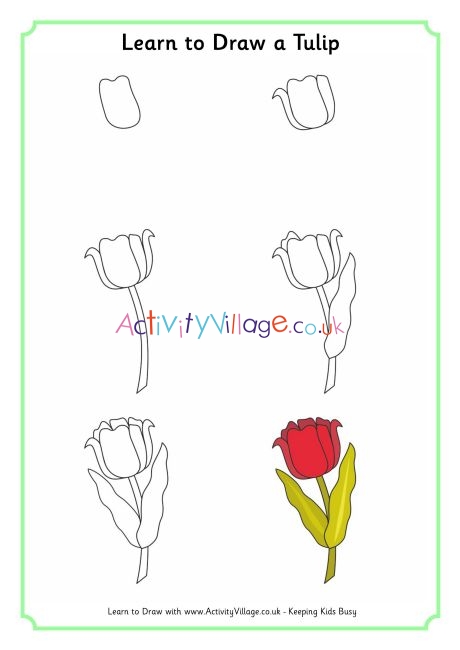 460x650 Learn To Draw A Tulip - Tulip Drawing Step By Step