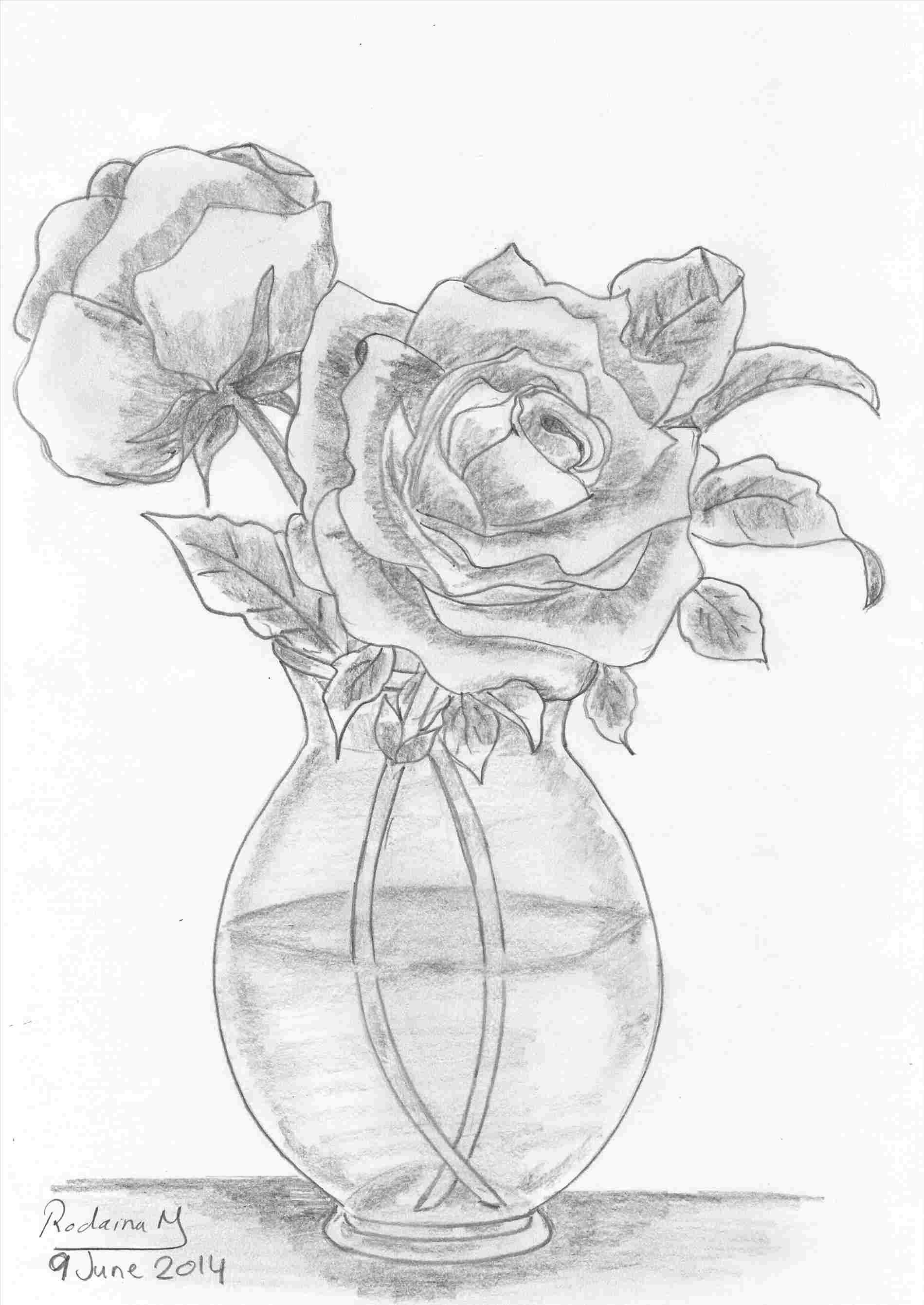 1899x2682 Pencil Drawings Of Sketches Rhdrawingslycom Tulip A Still Life - Tulip Drawings In Pencil