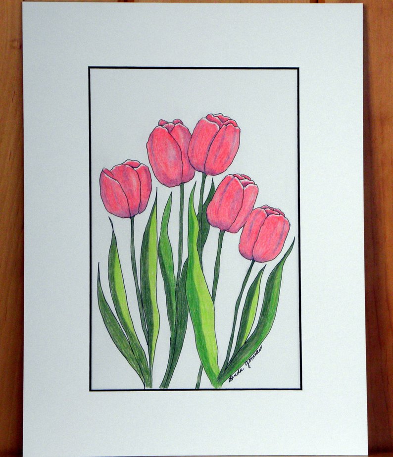 Tulip Drawings In Pencil at Explore collection of
