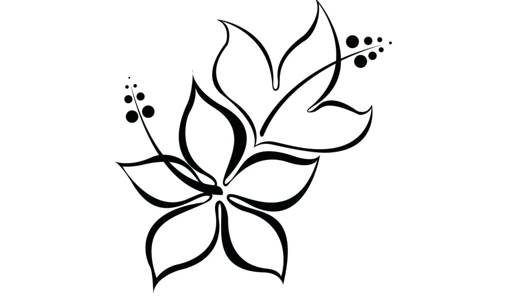 1024x600 Pictures Of Flowers To Draw Easy Tulip Flowers Drawing Images - Tulip Flower Drawing