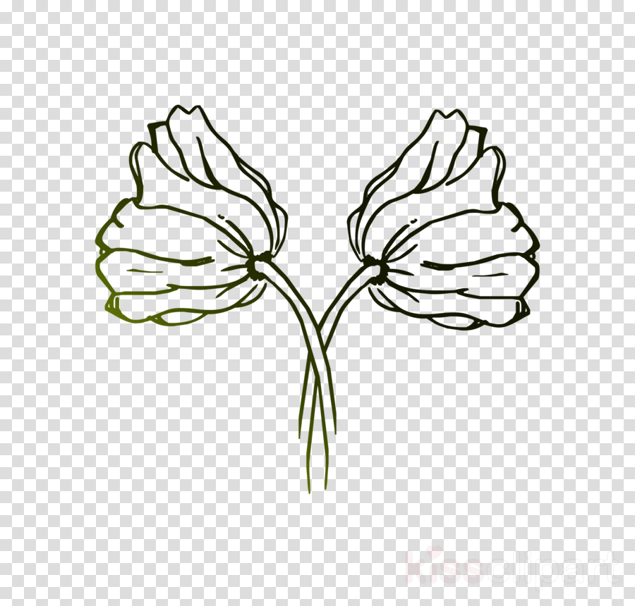 900x860 Tulip, Flower, Drawing, Transparent Png Image Clipart Free Download - Tulip Flower Drawing