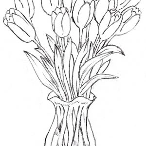 300x300 Tulip Drawing Inspirationa Tulip Outline Drawing At Getdrawings - Tulip Outline Drawing