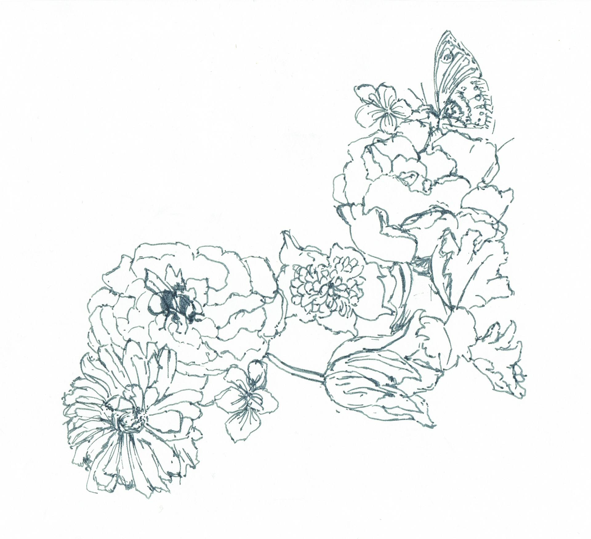 1920x1751 Tulip Flower Drawing Outline - Tulip Outline Drawing