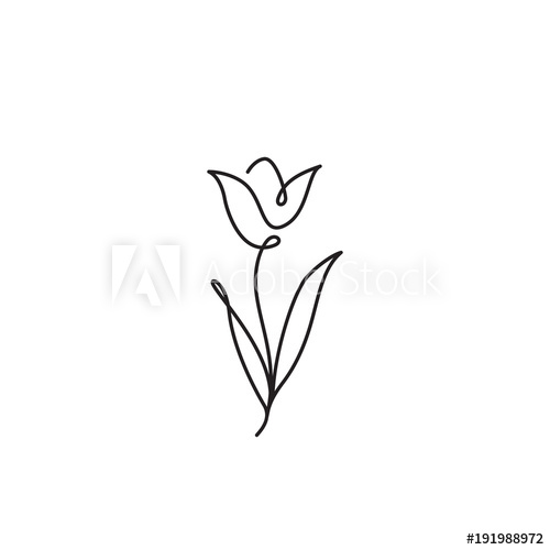 Tulip Outline Drawing at PaintingValley.com | Explore collection of ...