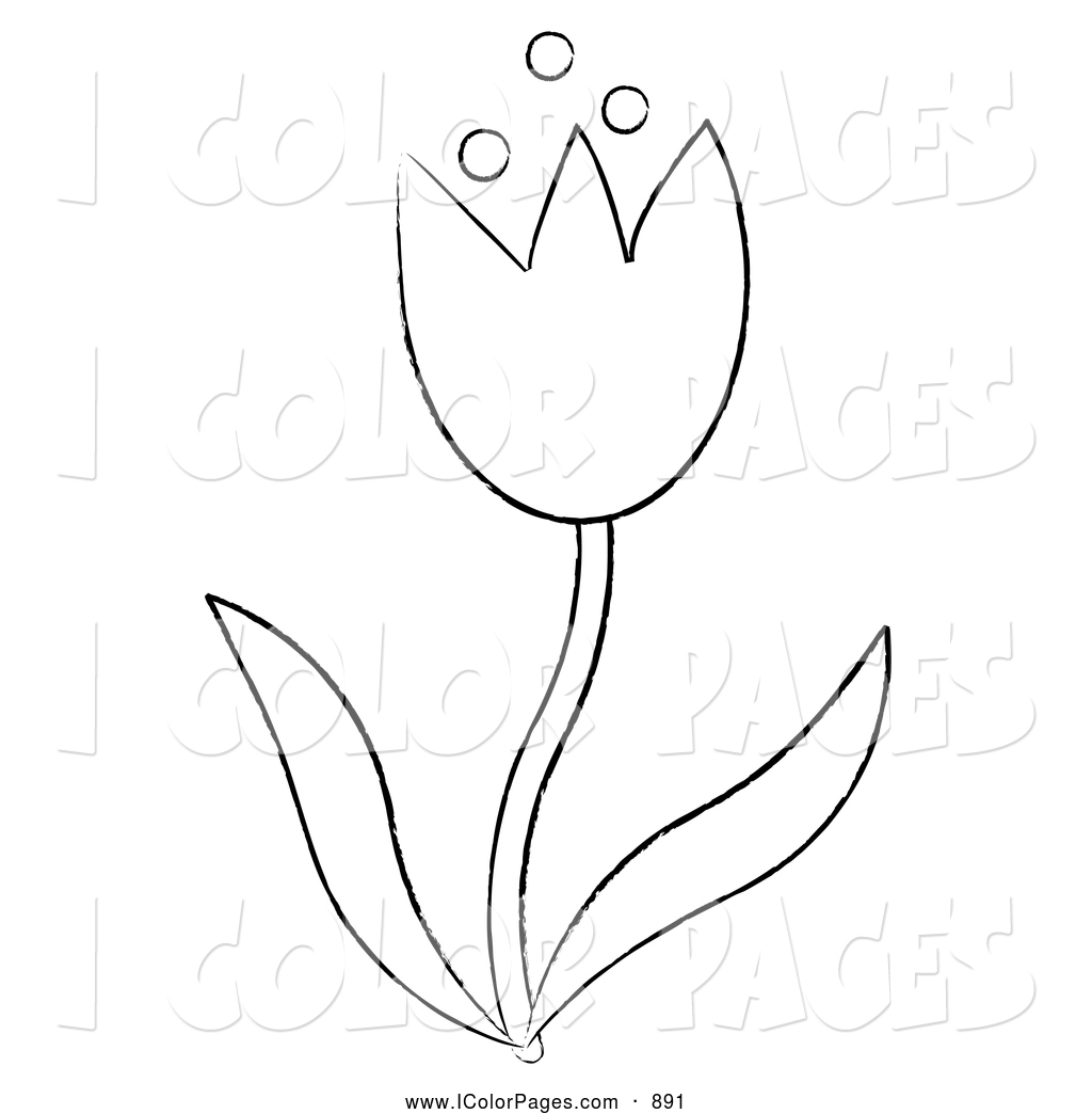 1024x1044 Tulip Outline Clipart - Tulip Outline Drawing