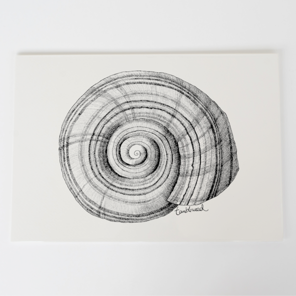 Tumbleweed Drawing at PaintingValley.com | Explore collection of ...