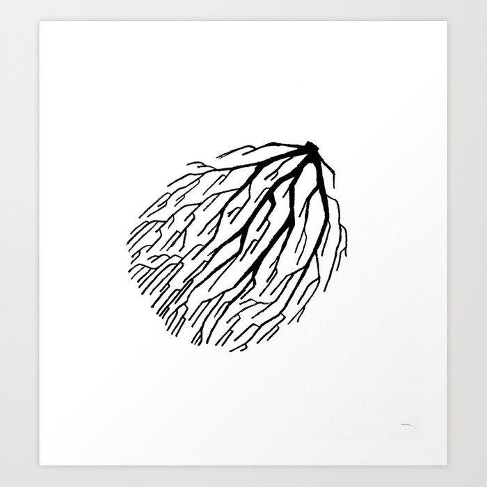 Tumbleweed Drawing at Explore collection of