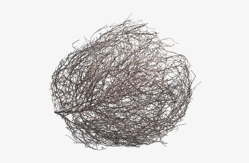 Tumbleweed Drawing at Explore collection of