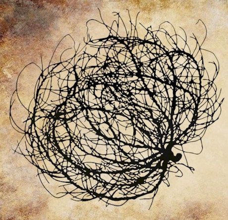 460x443 Tumbleweed Drawing - Tumbleweed Drawing