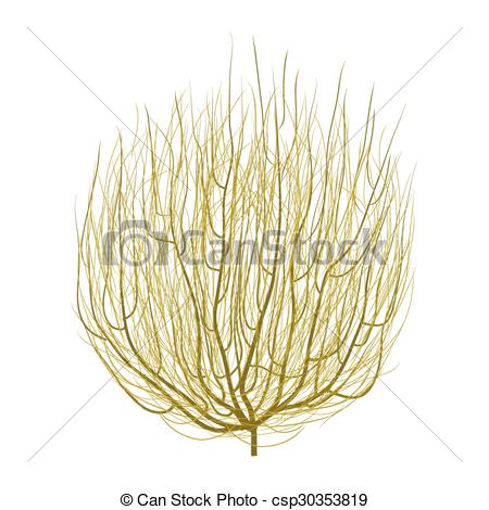 450x470 Isolated Dry Brown Realistic Round Tumbleweed - Tumbleweed Drawing
