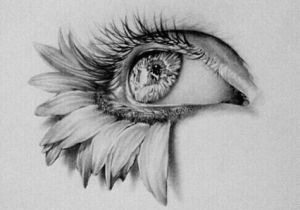 300x210 Tumblr Drawings Eyes - Tumblr Art Drawings