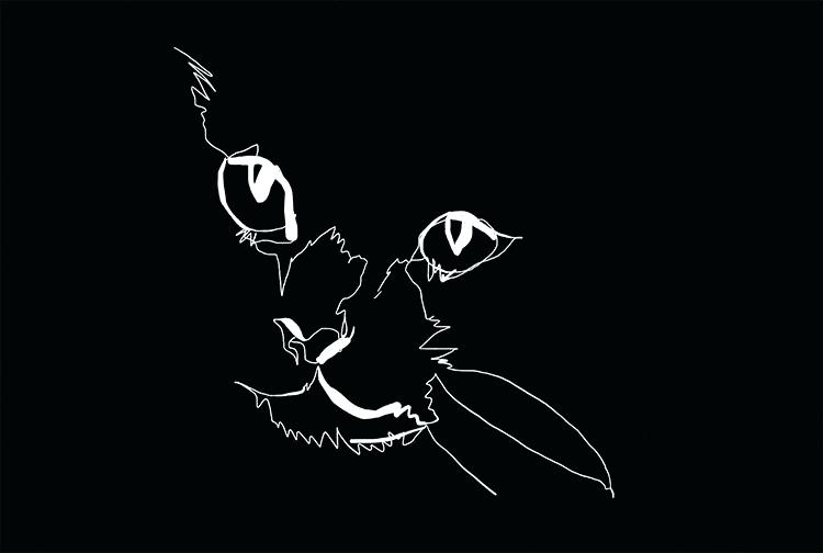750x504 Black Drawings Scratch Board Blind Contour Of A Cat White Tumblr - Tumblr Black And White Drawings